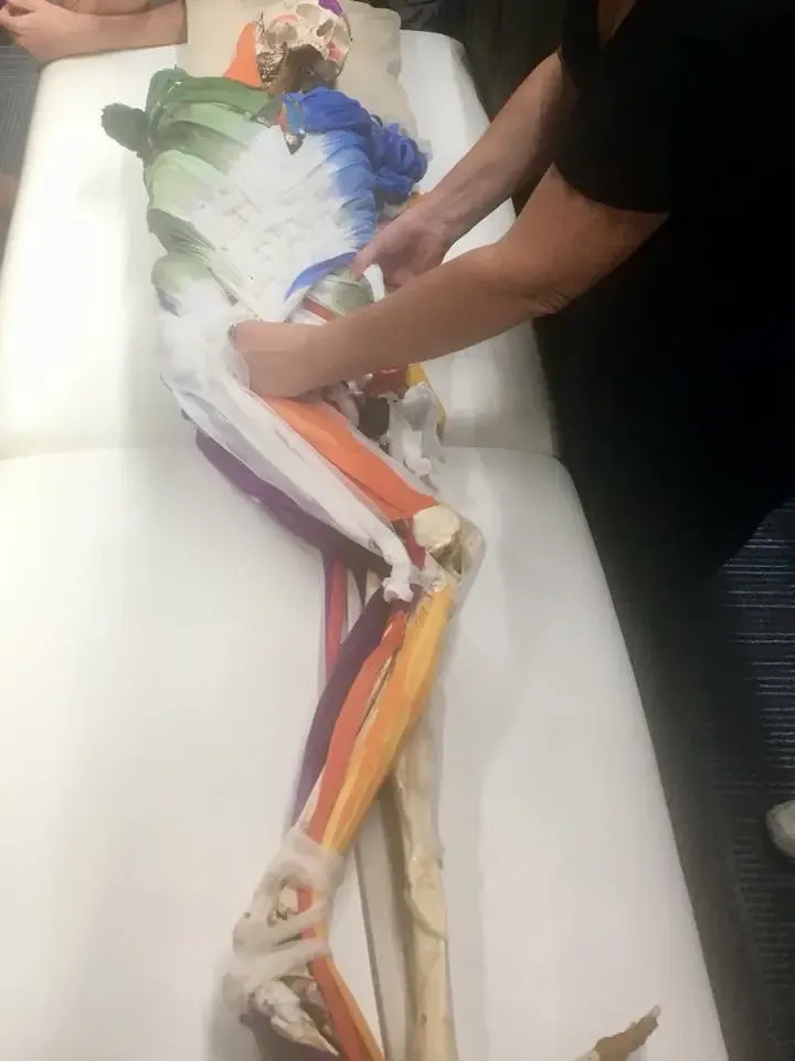 maet rabalhos realizados e parcerias 5