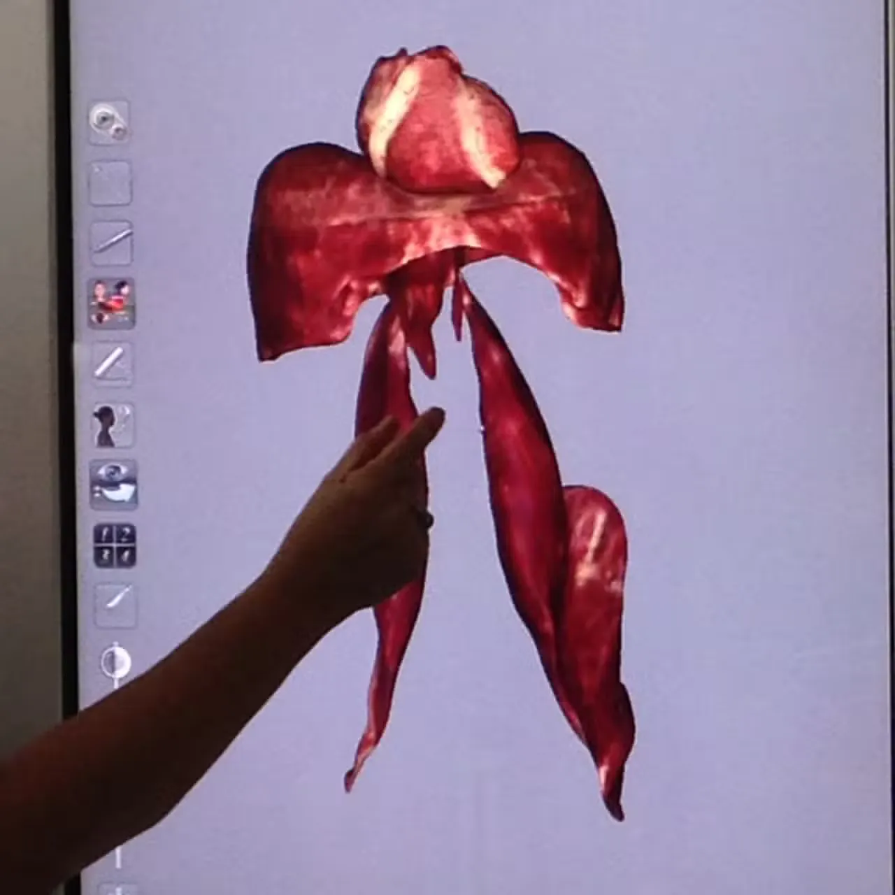 workshops e oficinas 5.jpeg