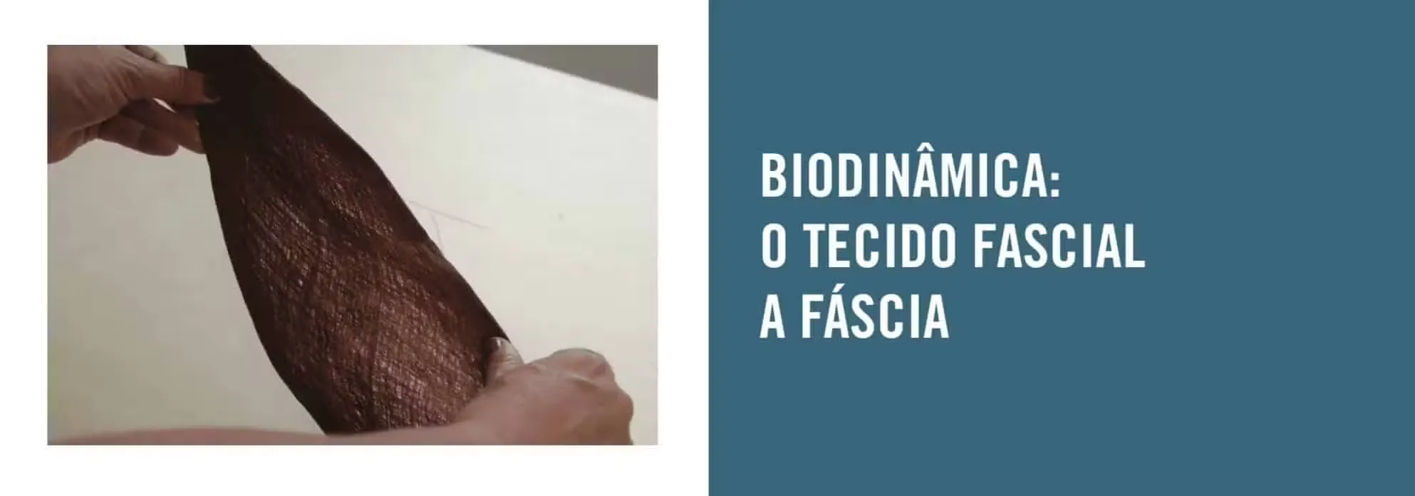 maet georgia victor workshop fascia rio de janeiro 004.jpg