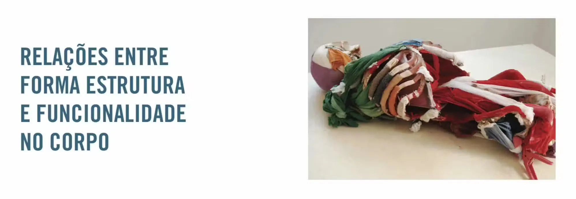 maet georgia victor workshop fascia rio de janeiro 005.jpg