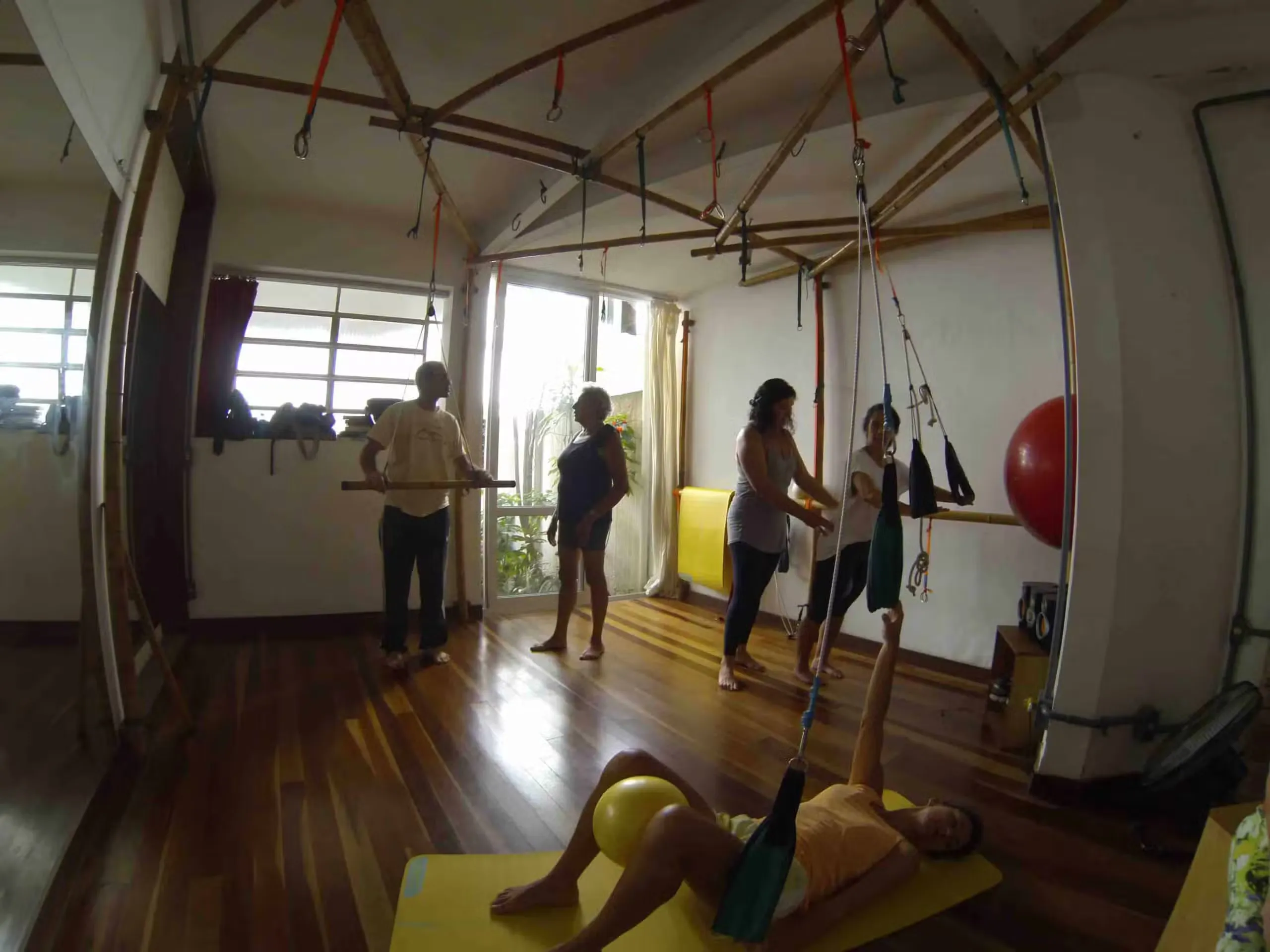 maet movimento 2.jpg